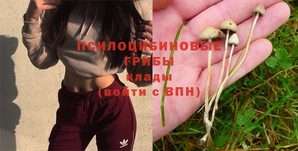 кокс Михайловск