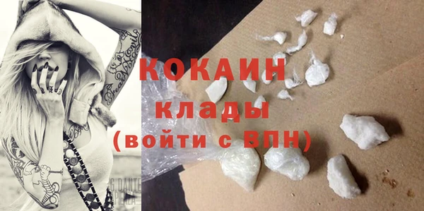 стафф Михайлов