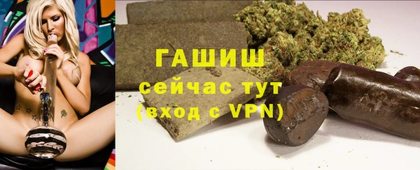 стафф Михайлов