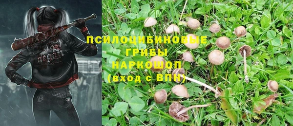 стафф Михайлов