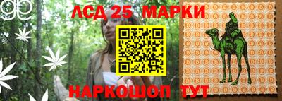 гидропоника Новозыбков