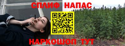 гидропоника Новозыбков