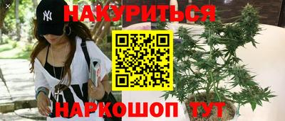 гидропоника Новозыбков