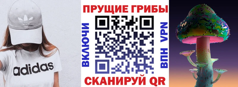 Псилоцибиновые грибы Psilocybine cubensis  наркотики  Темрюк 