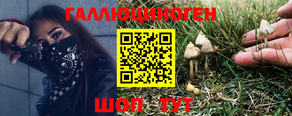 Псилоцибиновые грибы MAGIC MUSHROOMS Темрюк