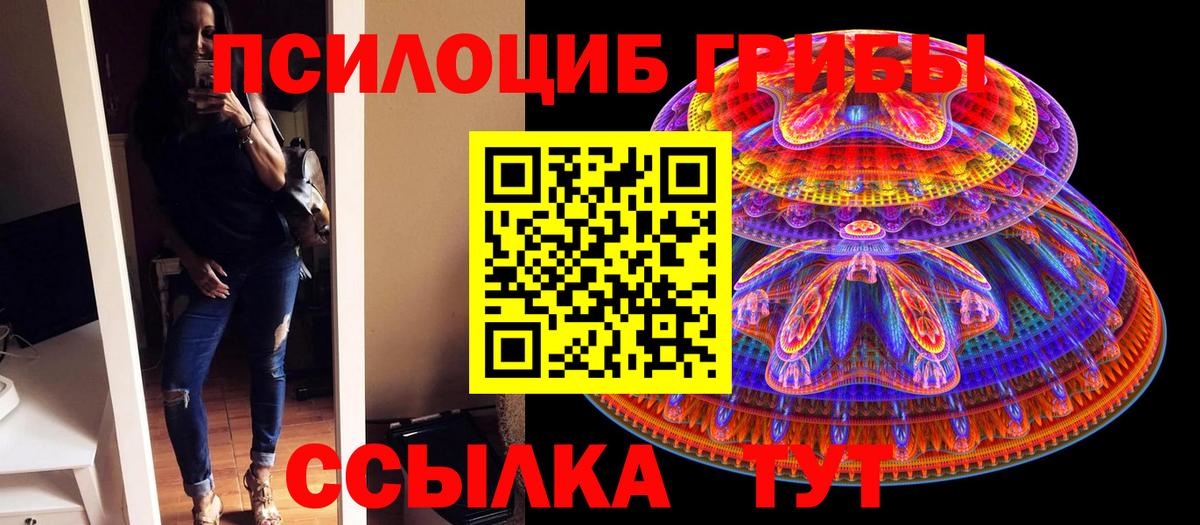 Псилоцибиновые грибы Cubensis  Вход с VPN  Темрюк  хочу наркоту  Галлюциногенные грибы прущие грибы 
